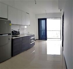 Sims Urban Oasis (D14), Condominium #582251141
